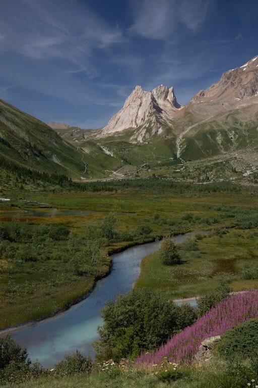 How to Plan a Simple Picnic at a Local Park